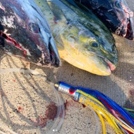 OFFSHORE LURES