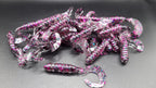 NOX Lures Curly Tail Grub 3"
