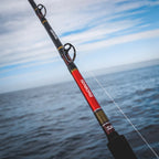 Daiwa Seaborg Dendoh Deep Drop Rods