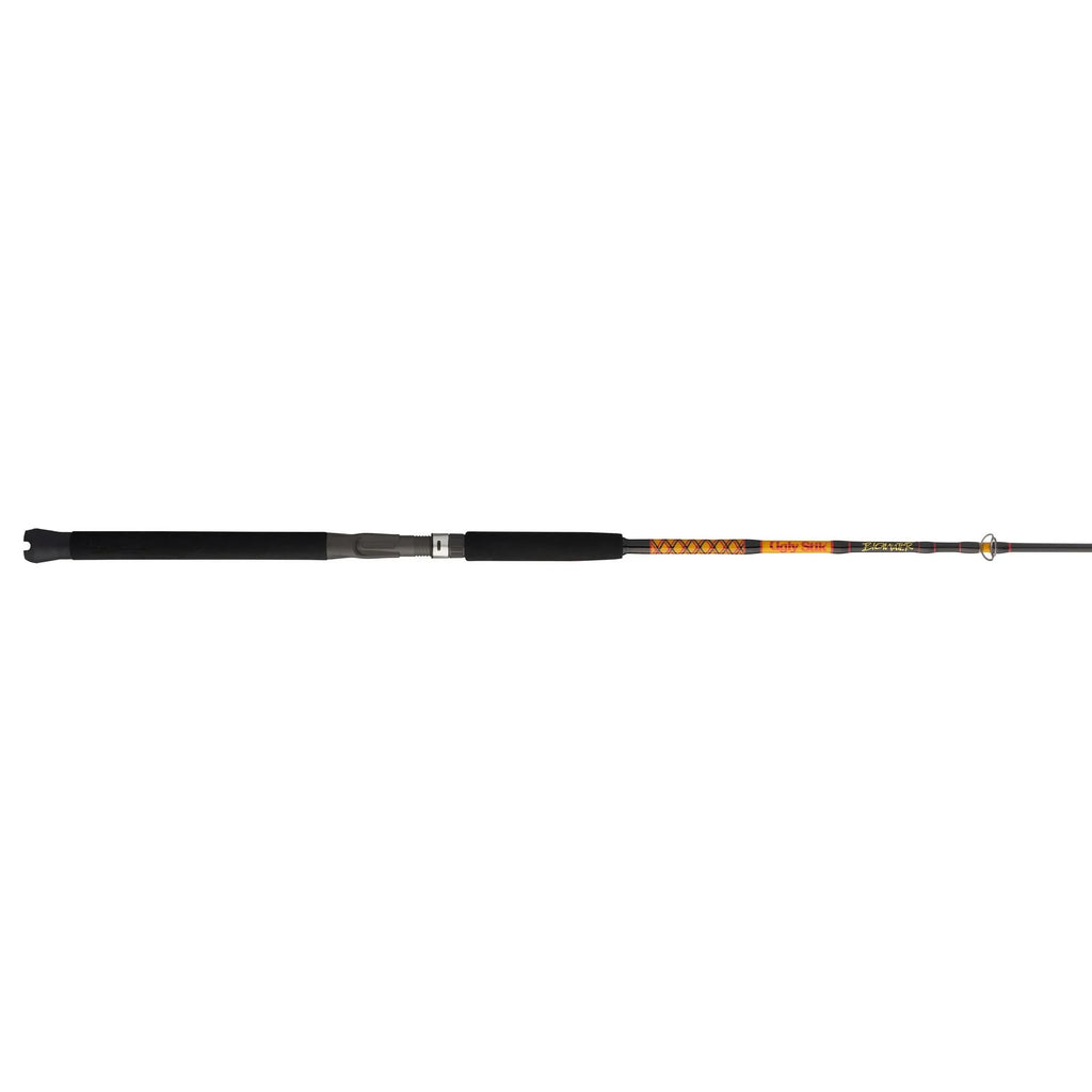 Ugly Stik Bigwater Conventional Rod