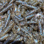 Sato Lure Small Grub 2"