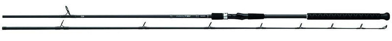 Daiwa Emblem Pro Surf Spinning Rod